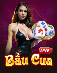 Live Casino 