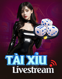 Live Casino 