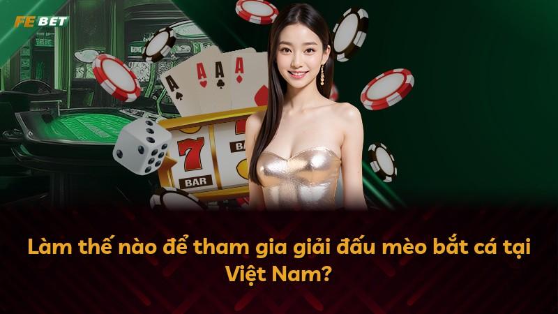 Làm thế nào để tham gia giải đấu mèo bắt cá tại Việt Nam?