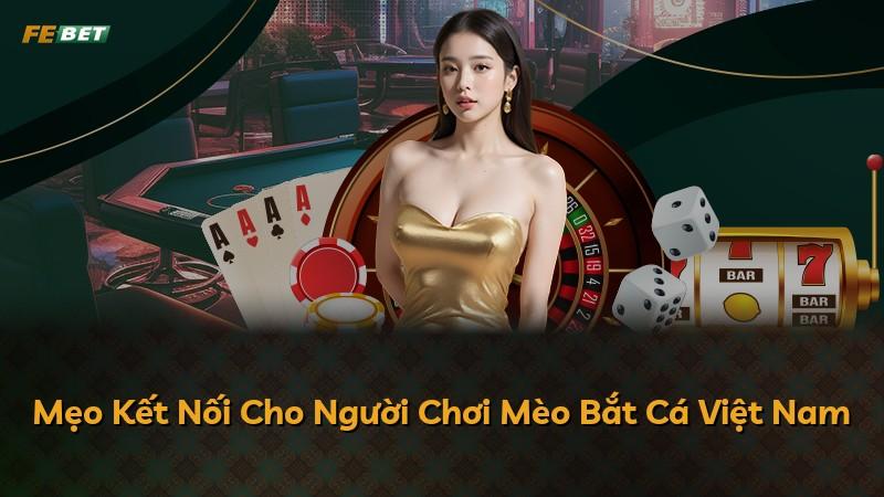 Mẹo Kết Nối Cho Người Chơi Mèo Bắt Cá Việt Nam