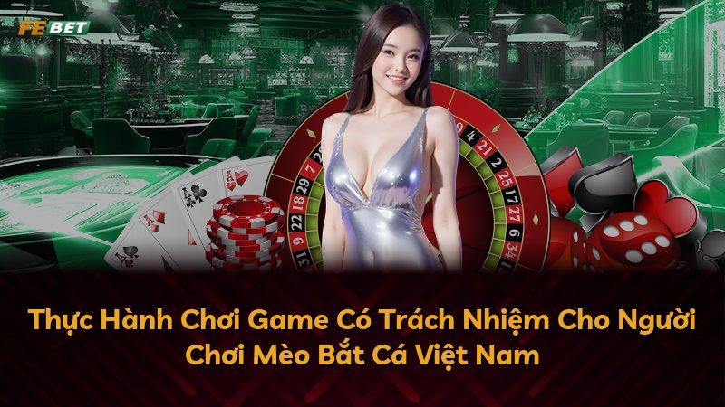 Thực Hành Chơi Game Có Trách Nhiệm Cho Người Chơi Mèo Bắt Cá Việt Nam
