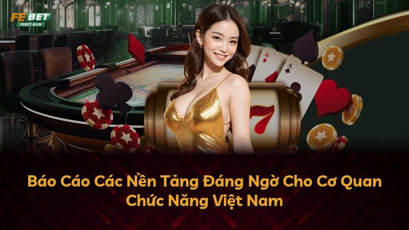 Báo Cáo Các Nền Tảng Đáng Ngờ Cho Cơ Quan Chức Năng Việt Nam