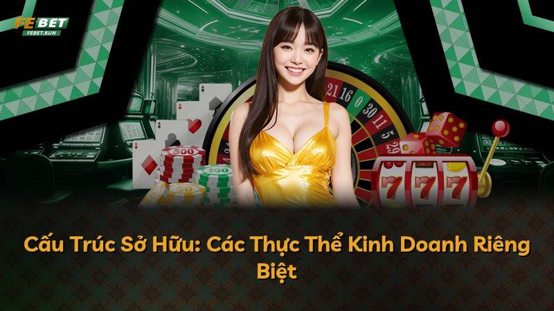 Cấu Trúc Sở Hữu: Các Thực Thể Kinh Doanh Riêng Biệt