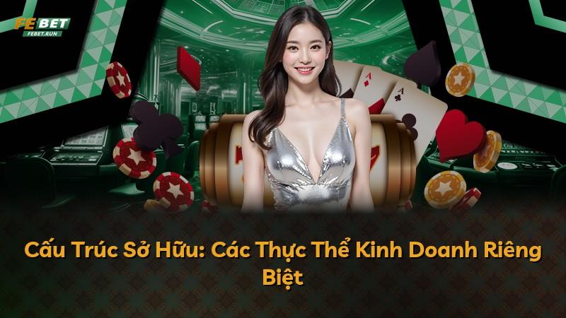 Cấu Trúc Sở Hữu: Các Thực Thể Kinh Doanh Riêng Biệt