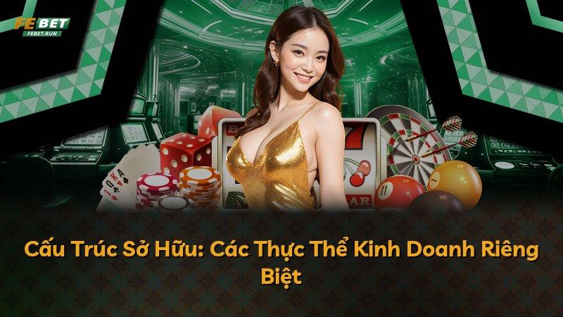 Cấu Trúc Sở Hữu: Các Thực Thể Kinh Doanh Riêng Biệt