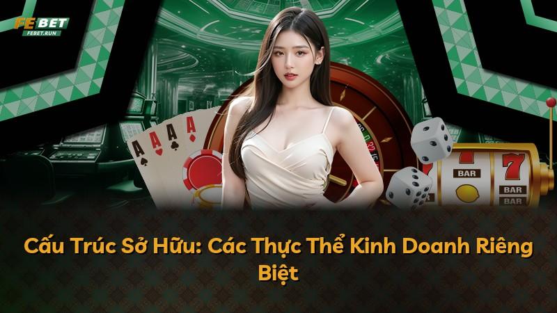 Cấu Trúc Sở Hữu: Các Thực Thể Kinh Doanh Riêng Biệt