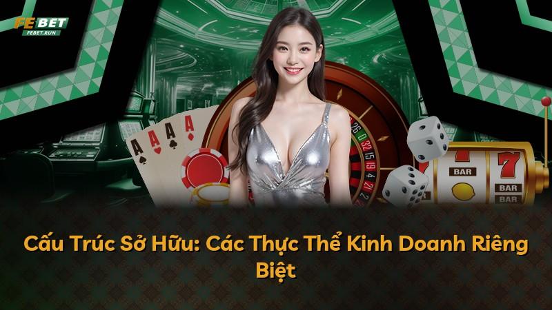 Cấu Trúc Sở Hữu: Các Thực Thể Kinh Doanh Riêng Biệt