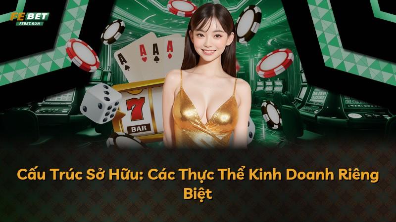 Cấu Trúc Sở Hữu: Các Thực Thể Kinh Doanh Riêng Biệt