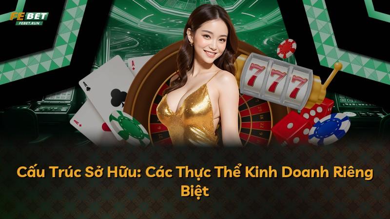 Cấu Trúc Sở Hữu: Các Thực Thể Kinh Doanh Riêng Biệt