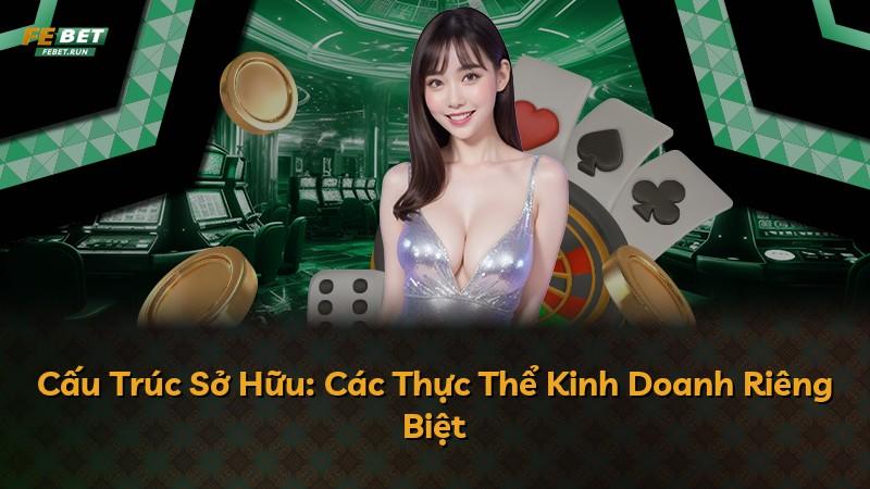 Cấu Trúc Sở Hữu: Các Thực Thể Kinh Doanh Riêng Biệt