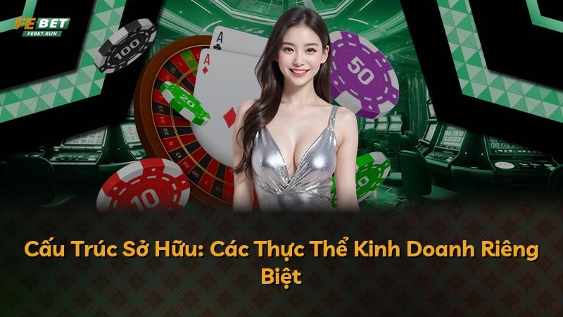 Cấu Trúc Sở Hữu: Các Thực Thể Kinh Doanh Riêng Biệt