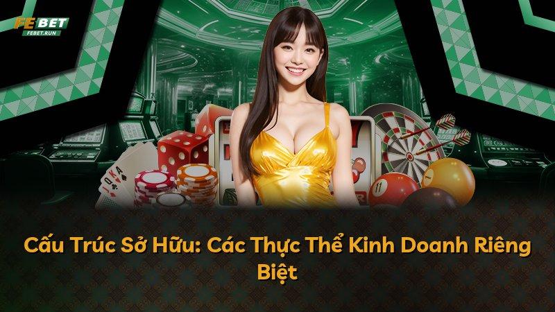 Cấu Trúc Sở Hữu: Các Thực Thể Kinh Doanh Riêng Biệt
