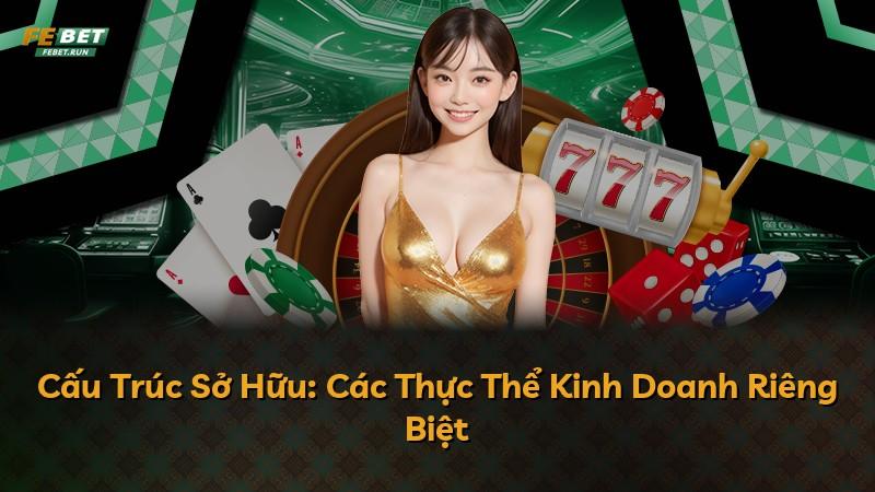 Cấu Trúc Sở Hữu: Các Thực Thể Kinh Doanh Riêng Biệt
